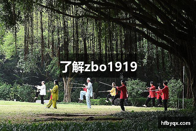 了解zbo1919